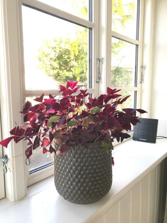 Bnb Thuroe Svendborg Dış mekan fotoğraf