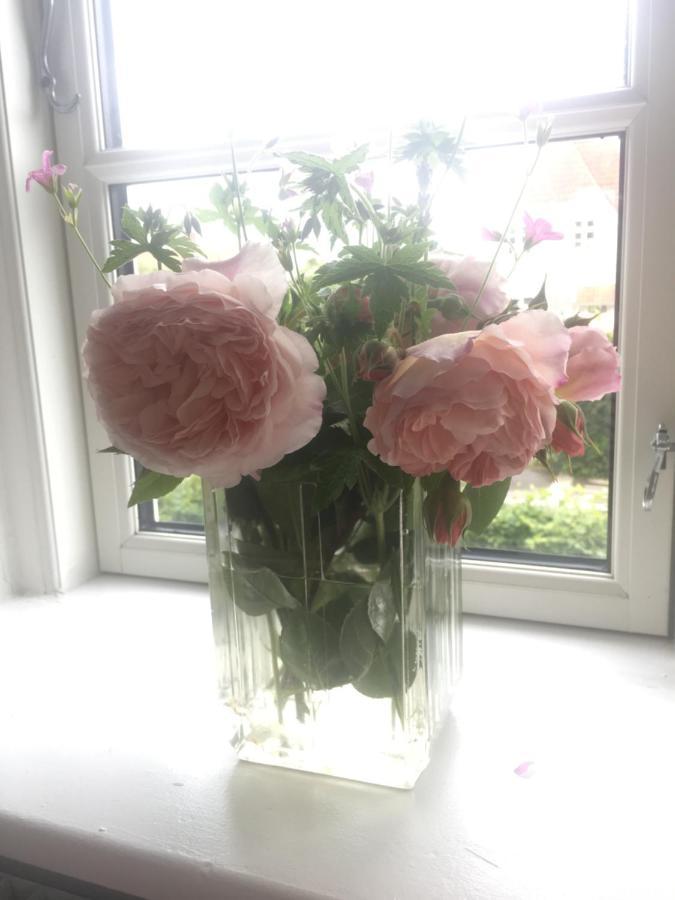 Bnb Thuroe Svendborg Dış mekan fotoğraf
